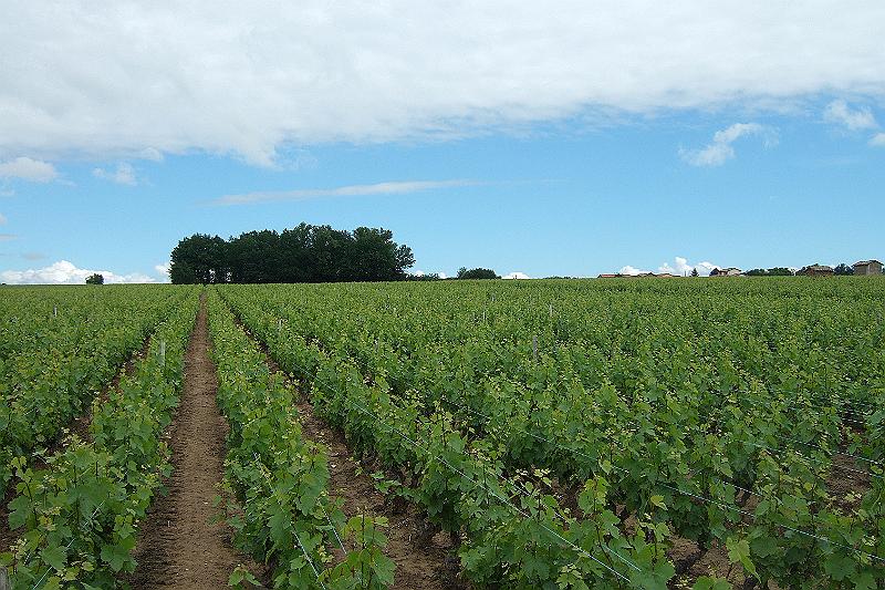 2010-06- (109).JPG